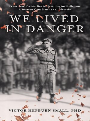 cover image of We Lived In Danger